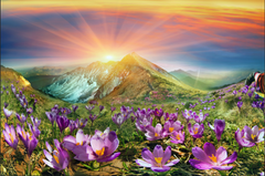 197 - TRANH TREO TƯỜNG PHÒNG KHÁCH, SAU SOFA - TRANH TREO PHONG CẢNH ĐỒNG QUÊ | T3D-3802