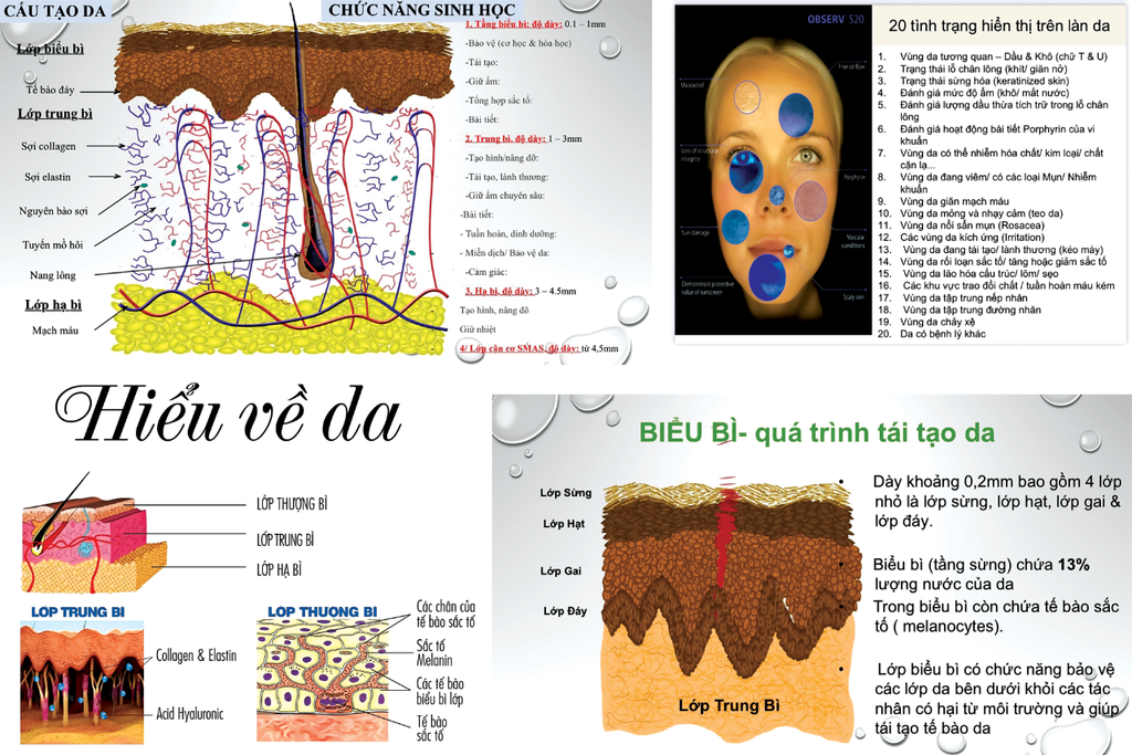 TRANH TREO TƯỜNG KHUNG HỢP KIM - TRANH SPA - MÃ T3D-3898