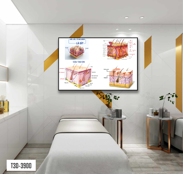 TRANH TREO TƯỜNG KHUNG HỢP KIM - TRANH SPA - MÃ T3D-3900