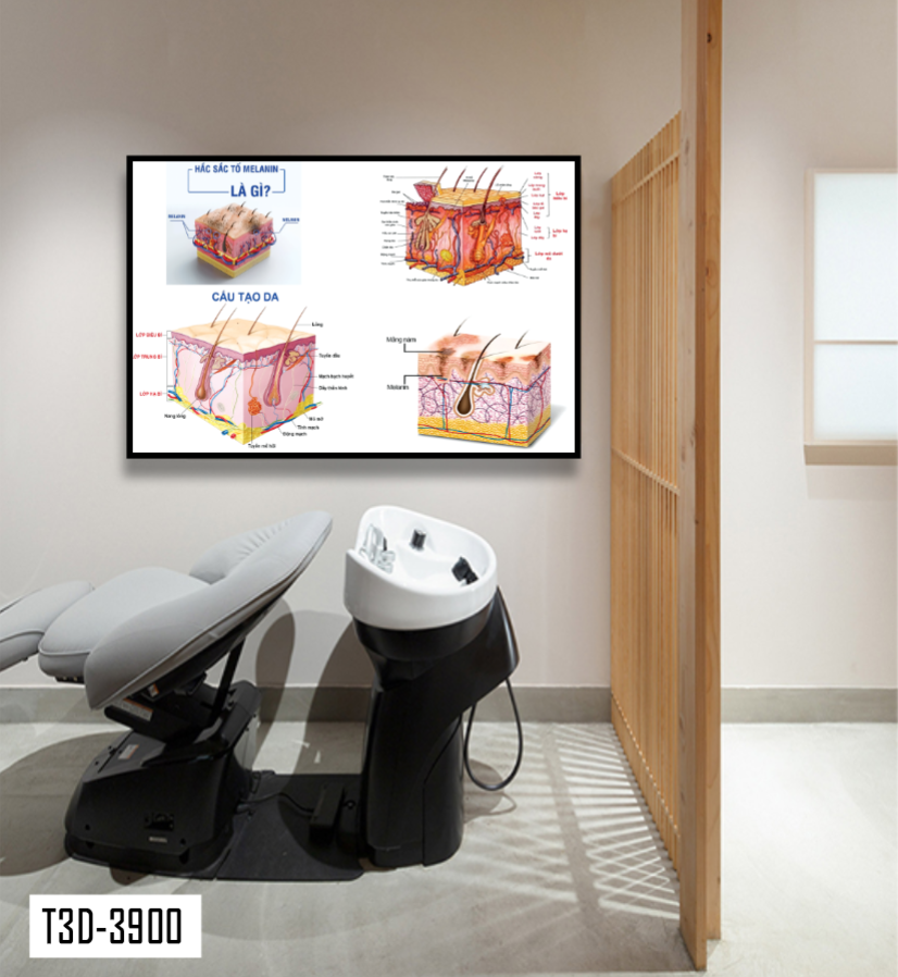 TRANH TREO TƯỜNG KHUNG HỢP KIM - TRANH SPA - MÃ T3D-3900