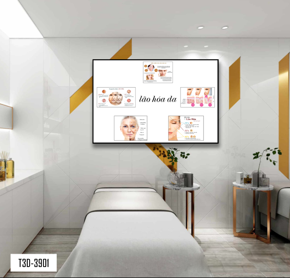 TRANH TREO TƯỜNG KHUNG HỢP KIM - TRANH SPA - MÃ T3D-3901