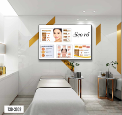 TRANH TREO TƯỜNG KHUNG HỢP KIM - TRANH SPA - MÃ T3D-3902