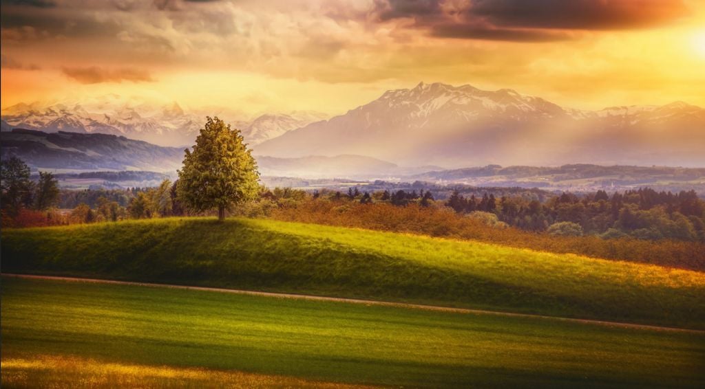 TRANH TREO PHÒNG KHÁCH - TRANH PHONG CẢNH THIÊN NHIÊN RỪNG NÚI - KHỔ LỚN | MÃ T3D-4882