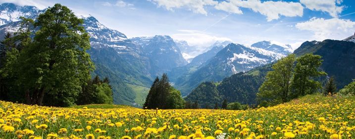 TRANH TREO PHÒNG NGỦ - TRANH PHONG CẢNH THIÊN NHIÊN - KHỔ LỚN | MÃ T3D-4941