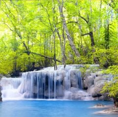 TRANH TREO PHÒNG BẾP - TRANH PHONG CẢNH THIÊN NHIÊN | MÃ T3D-5005