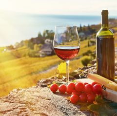 TRANH TREO PHÒNG BẾP - TRANH TĨNH VẬT ĐƠN GIẢN | MÃ T3D-5095