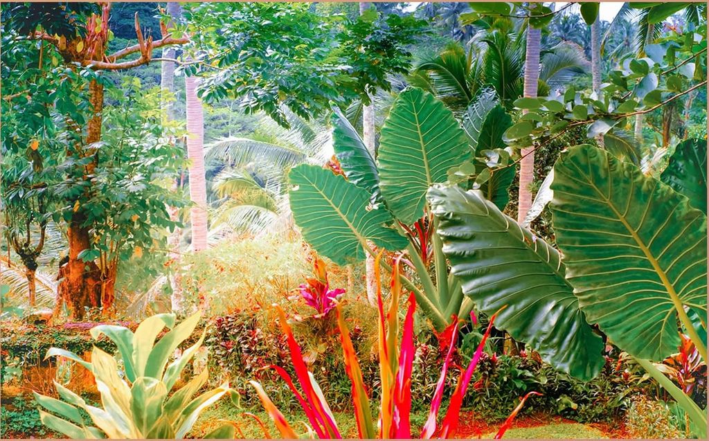 TRANH VẢI DÁN TƯỜNG 3D NHÀ HÀNG, CAFE - TRANH DÁN TƯỜNG TROPICAL NHIỆT ĐỚI | MÃ T3D-6433