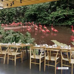 TRANH VẢI DÁN TƯỜNG 3D NHÀ HÀNG, CAFE - TRANH DÁN TƯỜNG TROPICAL NHIỆT ĐỚI | MÃ T3D-6439