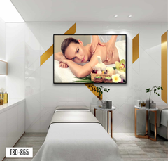 TRANH TREO TƯỜNG KHUNG HỢP KIM - TRANH SPA - MÃ T3D-865