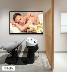 TRANH TREO TƯỜNG KHUNG HỢP KIM - TRANH SPA - MÃ T3D-865