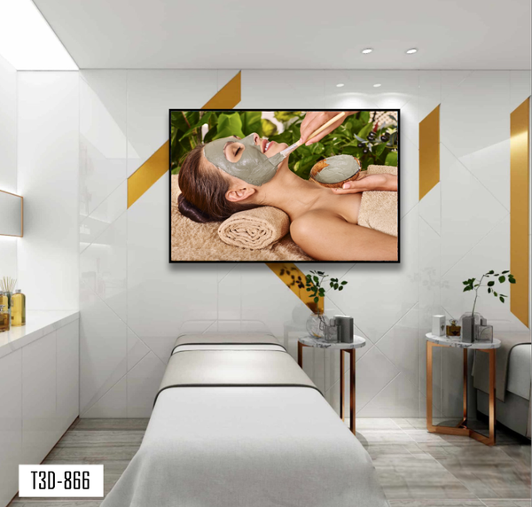 TRANH TREO TƯỜNG KHUNG HỢP KIM - TRANH SPA - MÃ T3D-866