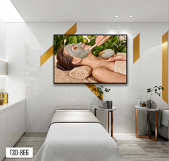 TRANH TREO TƯỜNG KHUNG HỢP KIM - TRANH SPA - MÃ T3D-866