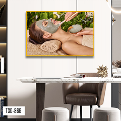 TRANH TREO TƯỜNG KHUNG HỢP KIM - TRANH SPA - MÃ T3D-866