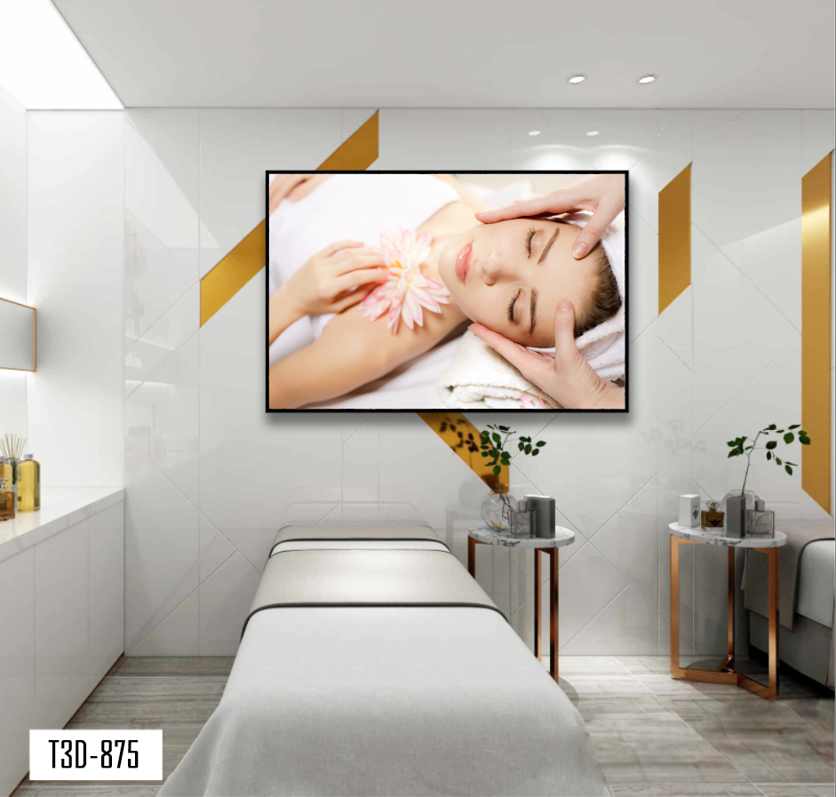 TRANH TREO TƯỜNG KHUNG HỢP KIM - TRANH SPA - MÃ T3D-875