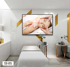 TRANH TREO TƯỜNG KHUNG HỢP KIM - TRANH SPA - MÃ T3D-875
