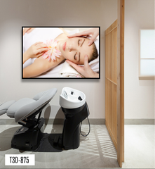 TRANH TREO TƯỜNG KHUNG HỢP KIM - TRANH SPA - MÃ T3D-875