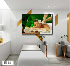 TRANH TREO TƯỜNG KHUNG HỢP KIM - TRANH SPA - MÃ T3D-881