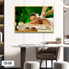 TRANH TREO TƯỜNG KHUNG HỢP KIM - TRANH SPA - MÃ T3D-881
