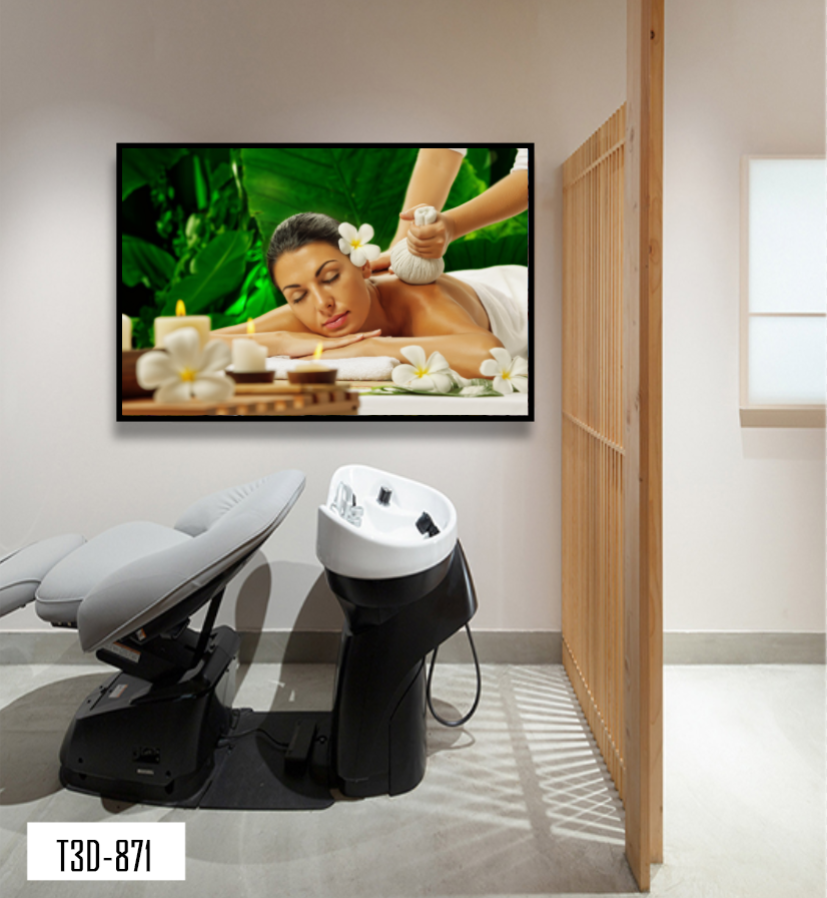 TRANH TREO TƯỜNG KHUNG HỢP KIM - TRANH SPA - MÃ T3D-881