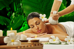 TRANH TREO TƯỜNG KHUNG HỢP KIM - TRANH SPA - MÃ T3D-881