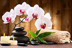 TRANH TREO TƯỜNG KHUNG HỢP KIM - TRANH SPA - MÃ T3D-882