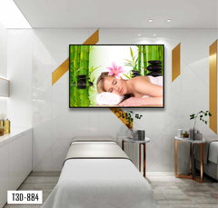 TRANH TREO TƯỜNG KHUNG HỢP KIM - TRANH SPA - MÃ T3D-884