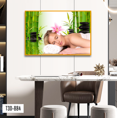 TRANH TREO TƯỜNG KHUNG HỢP KIM - TRANH SPA - MÃ T3D-884