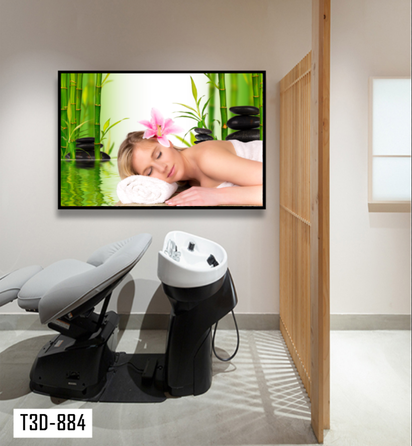 TRANH TREO TƯỜNG KHUNG HỢP KIM - TRANH SPA - MÃ T3D-884