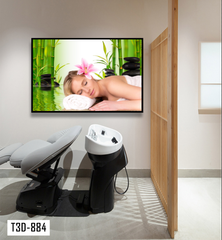 TRANH TREO TƯỜNG KHUNG HỢP KIM - TRANH SPA - MÃ T3D-884
