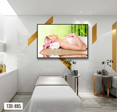 TRANH TREO TƯỜNG KHUNG HỢP KIM - TRANH SPA - MÃ T3D-885