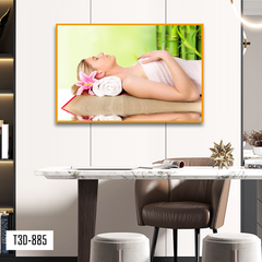 TRANH TREO TƯỜNG KHUNG HỢP KIM - TRANH SPA - MÃ T3D-885