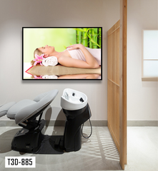 TRANH TREO TƯỜNG KHUNG HỢP KIM - TRANH SPA - MÃ T3D-885