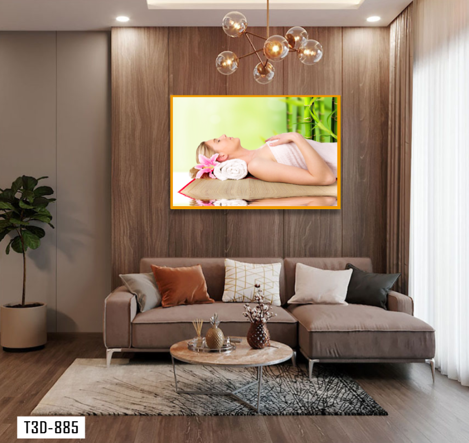 TRANH TREO TƯỜNG KHUNG HỢP KIM - TRANH SPA - MÃ T3D-885