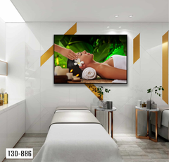 TRANH TREO TƯỜNG KHUNG HỢP KIM - TRANH SPA - MÃ T3D-886
