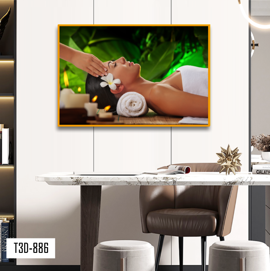 TRANH TREO TƯỜNG KHUNG HỢP KIM - TRANH SPA - MÃ T3D-886