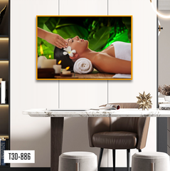 TRANH TREO TƯỜNG KHUNG HỢP KIM - TRANH SPA - MÃ T3D-886