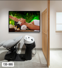 TRANH TREO TƯỜNG KHUNG HỢP KIM - TRANH SPA - MÃ T3D-886