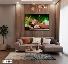 TRANH TREO TƯỜNG KHUNG HỢP KIM - TRANH SPA - MÃ T3D-886