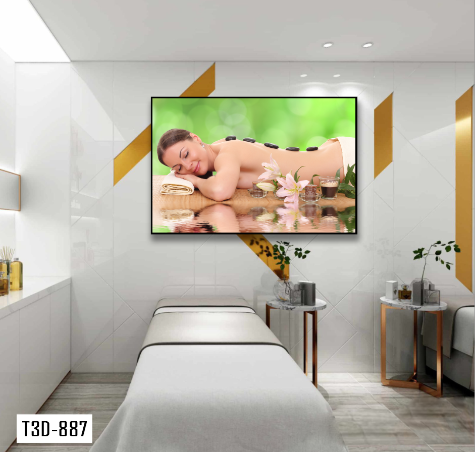TRANH TREO TƯỜNG KHUNG HỢP KIM - TRANH SPA - MÃ T3D-887