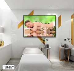 TRANH TREO TƯỜNG KHUNG HỢP KIM - TRANH SPA - MÃ T3D-887