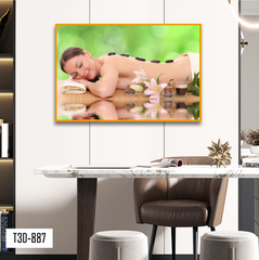 TRANH TREO TƯỜNG KHUNG HỢP KIM - TRANH SPA - MÃ T3D-887