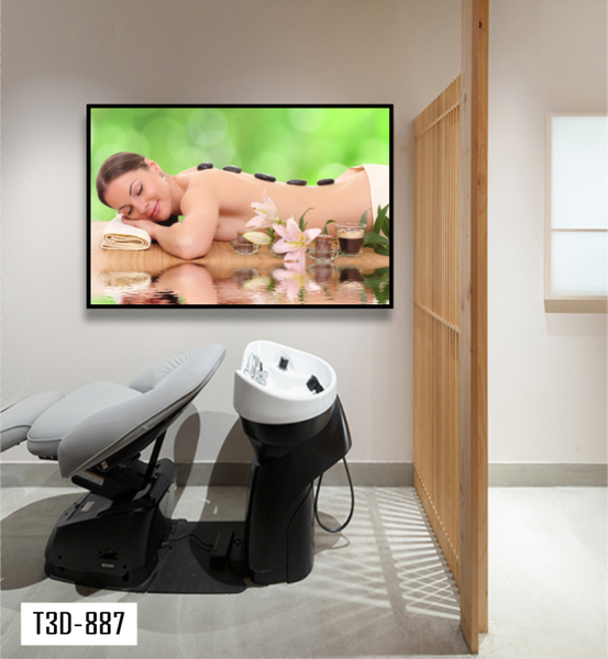 TRANH TREO TƯỜNG KHUNG HỢP KIM - TRANH SPA - MÃ T3D-887