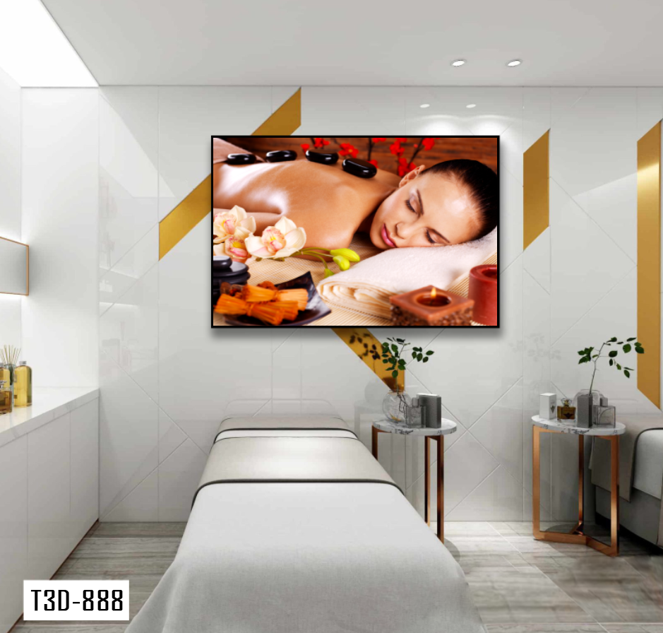 TRANH TREO TƯỜNG KHUNG HỢP KIM - TRANH SPA - MÃ T3D-888