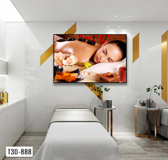 TRANH TREO TƯỜNG KHUNG HỢP KIM - TRANH SPA - MÃ T3D-888