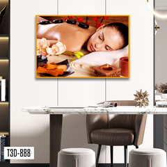 TRANH TREO TƯỜNG KHUNG HỢP KIM - TRANH SPA - MÃ T3D-888