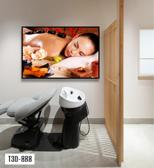 TRANH TREO TƯỜNG KHUNG HỢP KIM - TRANH SPA - MÃ T3D-888