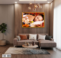 TRANH TREO TƯỜNG KHUNG HỢP KIM - TRANH SPA - MÃ T3D-888