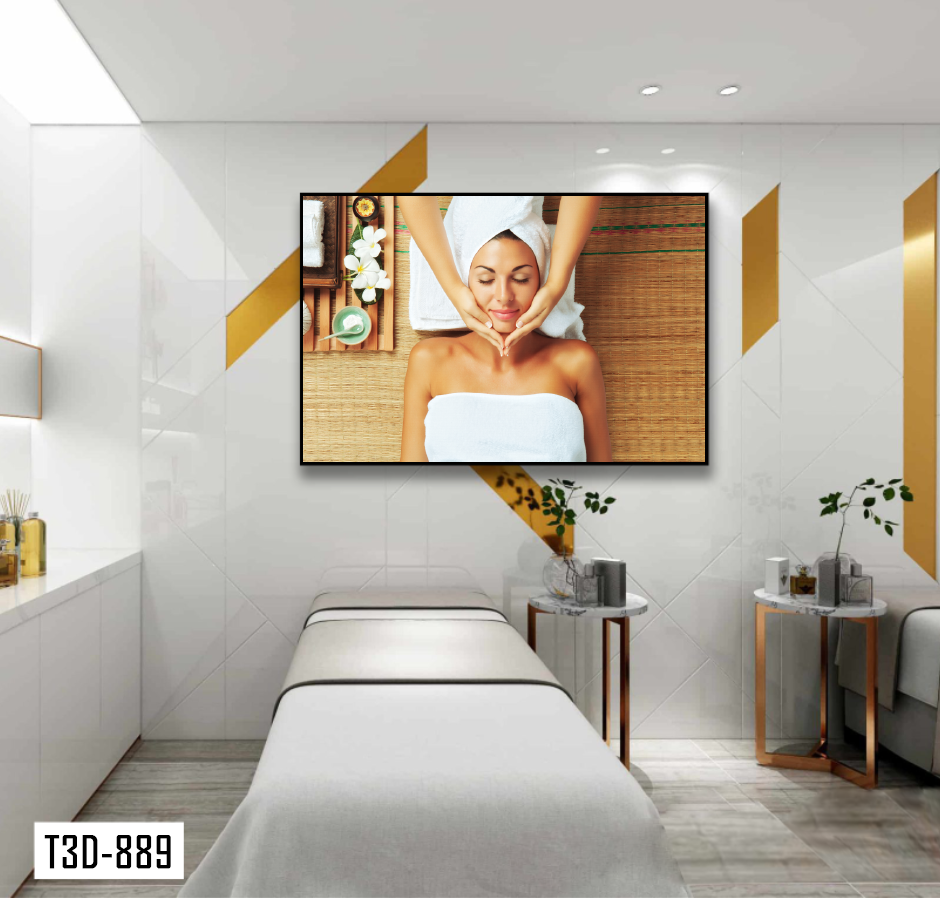 TRANH TREO TƯỜNG KHUNG HỢP KIM - TRANH SPA - MÃ T3D-889