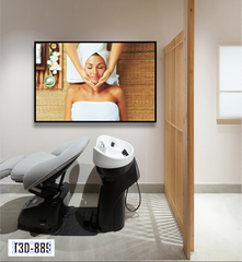 TRANH TREO TƯỜNG KHUNG HỢP KIM - TRANH SPA - MÃ T3D-889