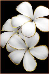 TRANH TREO TƯỜNG - TRANG TRÍ PHÒNG ĂN - PHÒNG NGỦ - CHỦ ĐỀ HOA 3D | MÃ XG-8062